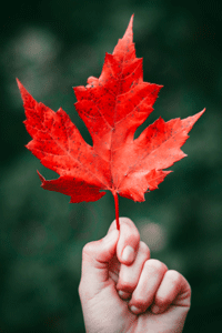 maple-leaf-with-flag