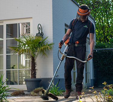 Landscaping Thumbnail