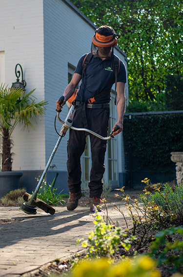 Landscaping Landscaping