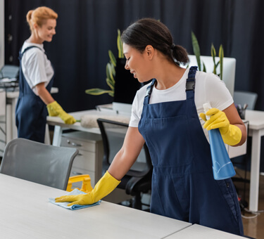 Light Duty Cleaner